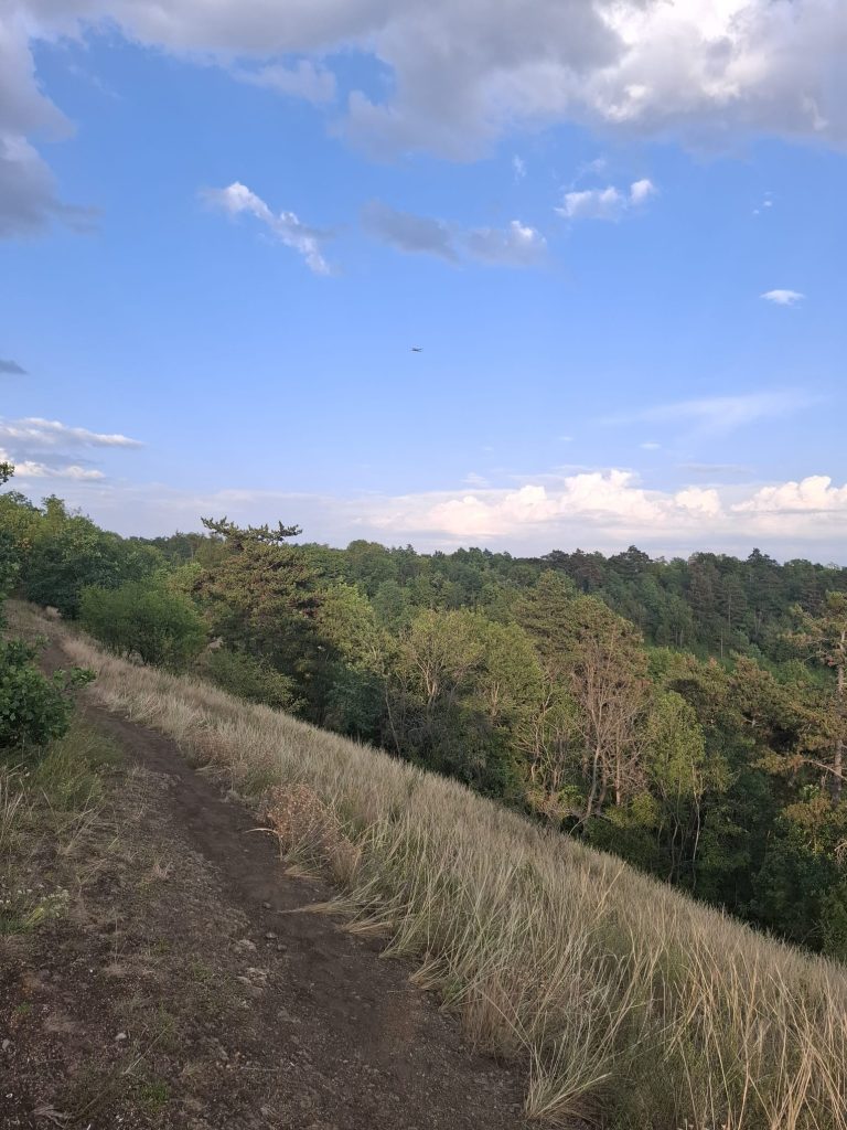 Valea lui Prokop